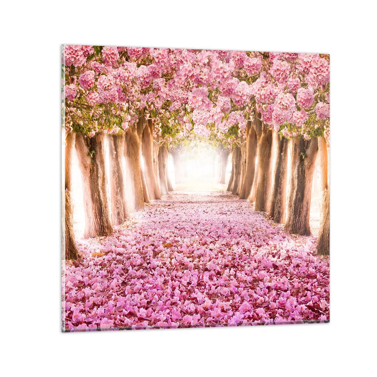 Cuadro sobre vidrio - Impresiones sobre Vidrio - El camino al paraíso - 70x70 cm