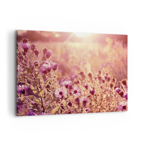 Cuadro sobre lienzo - Impresión de Imagen - Pradera a la luz del sol poniente - 100x70cm - Antes de que se acabe el verano - Decoración de pared moderna para salón y dormitorio ARTTOR