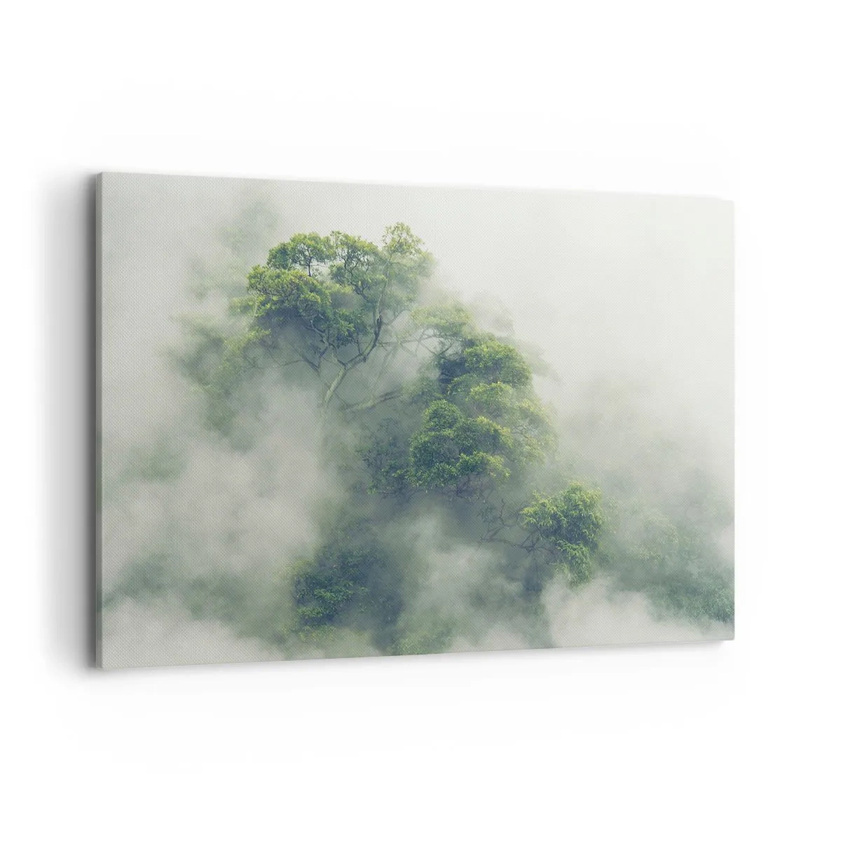 Cuadro sobre lienzo - Impresión de Imagen - Árboles verdes en una espesa niebla contra un fondo natural - 120x80cm - Envuelto en niebla - Decoración de pared moderna para salón y dormitorio ARTTOR