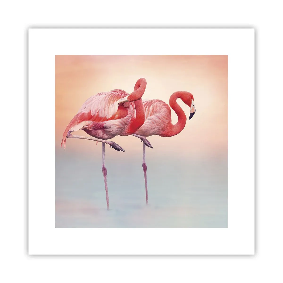 Póster - Elegancia bajo el sol de poniente - 30x30 cm