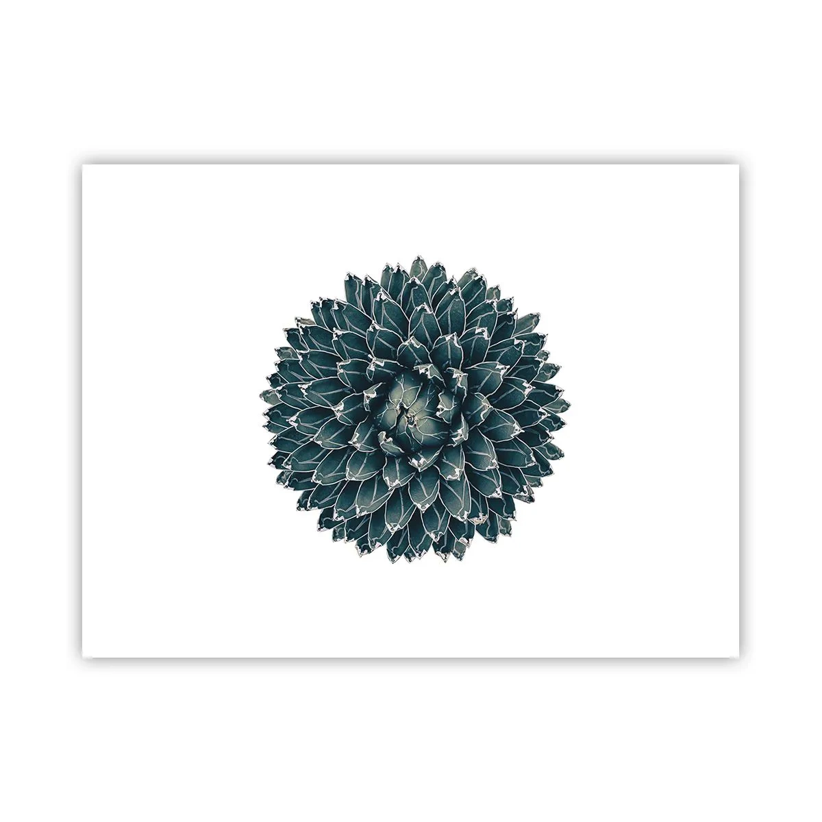 Póster - Estrella del desierto - 40x30 cm