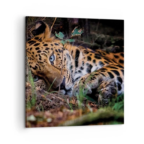 Cuadro sobre lienzo - Impresión de Imagen - Confía en mí - 60x60 cm