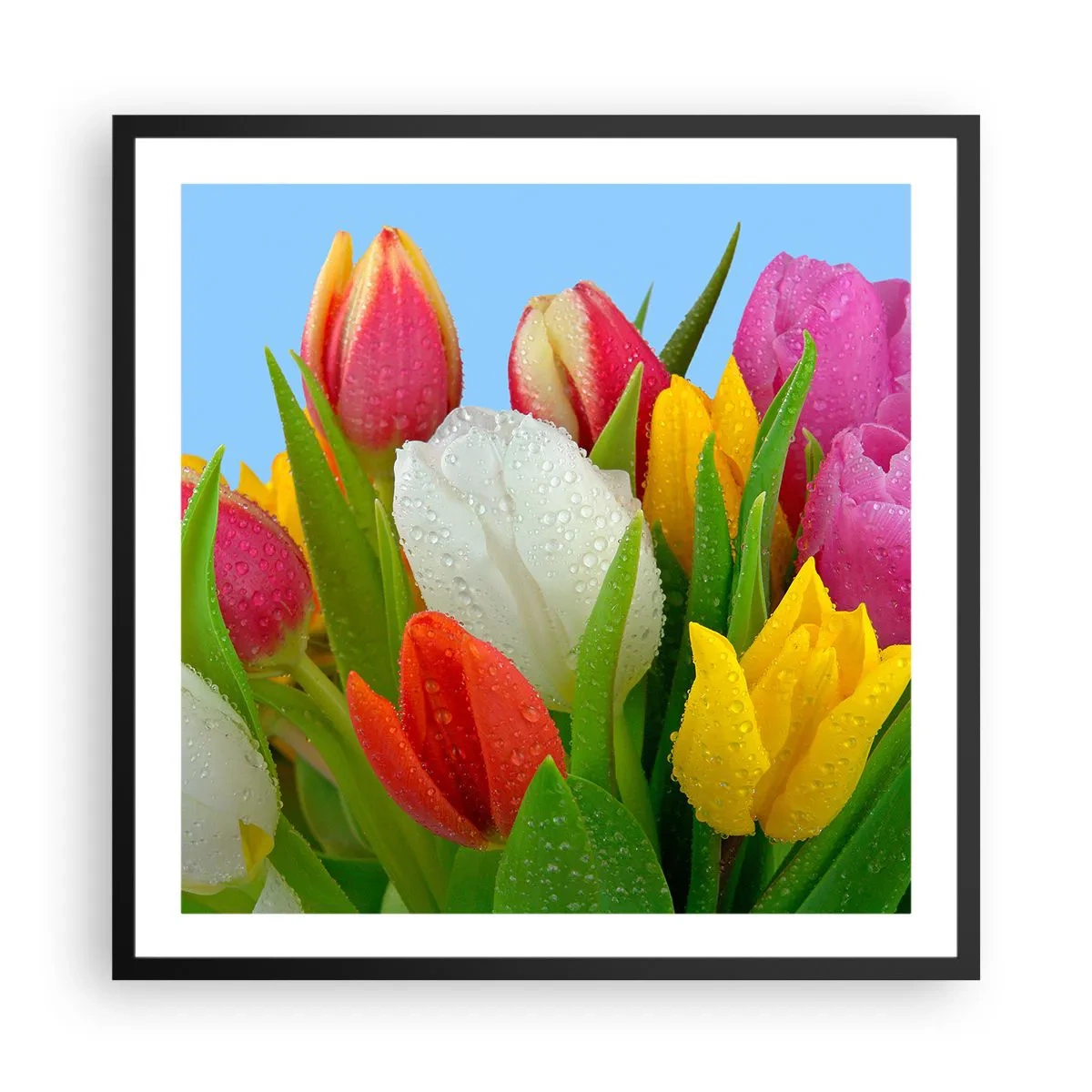 Póster en marco negro - Arco iris floral en gotas de rocío - 60x60 cm