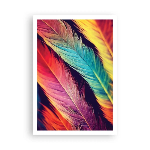 Póster - Arco iris plumoso - 70x100 cm