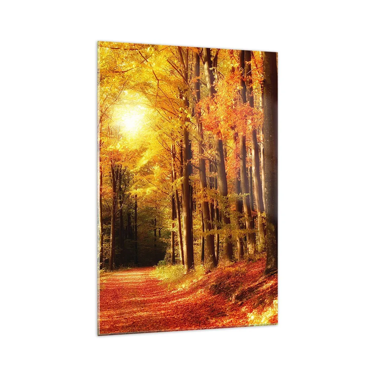 Cuadro sobre vidrio - Impresiones sobre Vidrio - Bosque otoñal con rayos de sol brillando a través de los árboles. - 70x100cm - Un otoño dorado en una carretera forestal - Decoración de pared moderna para salón y dormitorio ARTTOR