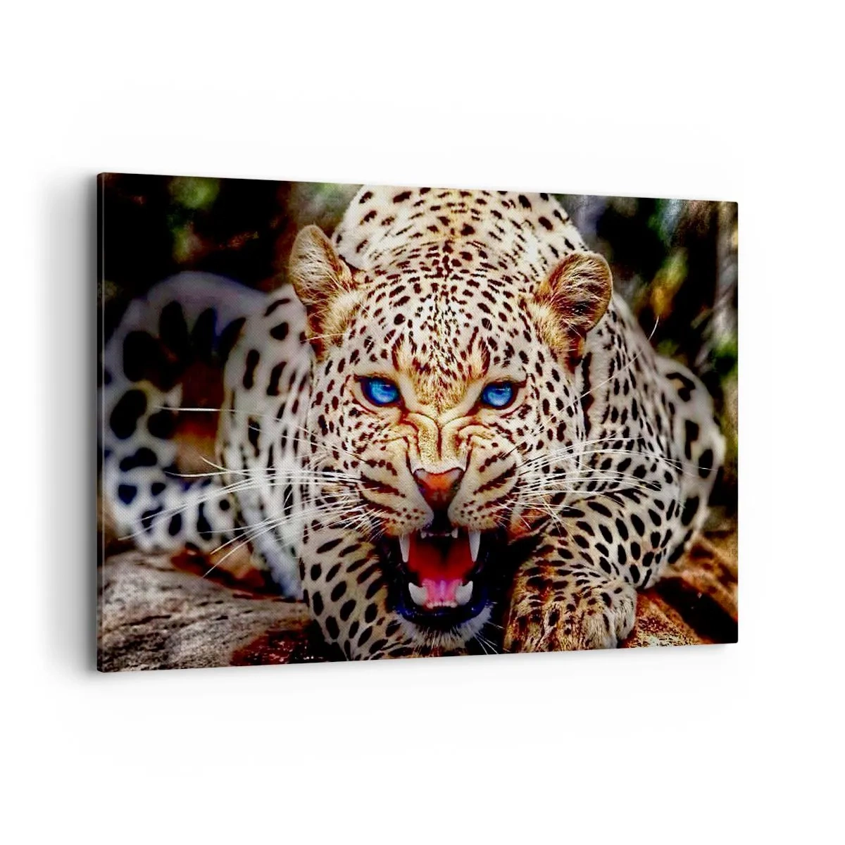 Cuadro sobre lienzo - Impresión de Imagen - Un leopardo amenazante con intensos ojos azules. - 120x80cm - La ira no daña la belleza - Decoración de pared moderna para salón y dormitorio ARTTOR