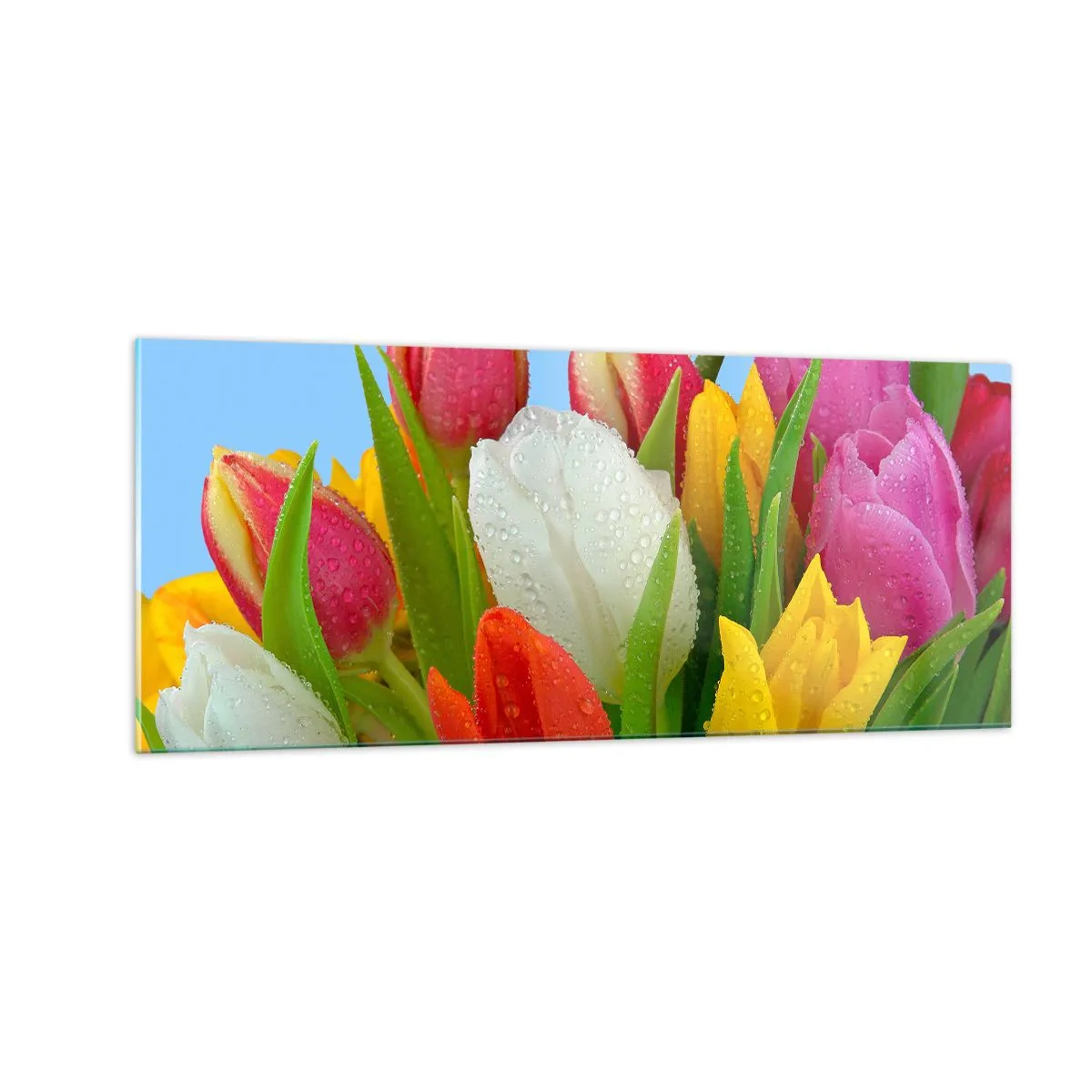 Cuadro sobre vidrio - Impresiones sobre Vidrio - Arco iris floral en gotas de rocío - 100x40 cm
