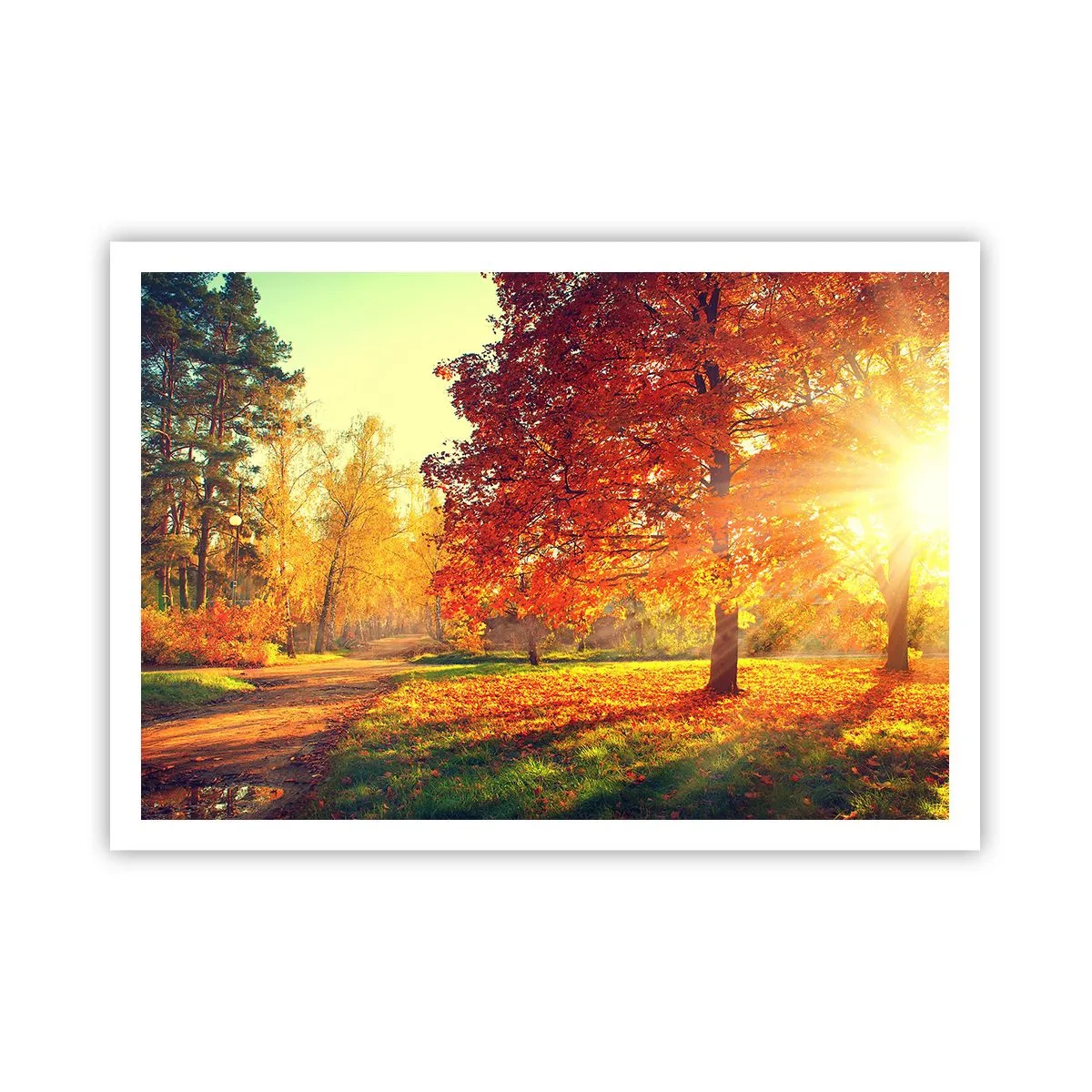 Póster - Parque otoñal iluminado por la luz del sol - 100x70cm - El rojo es hermoso - Decoración de pared moderna para salón y dormitorio ARTTOR