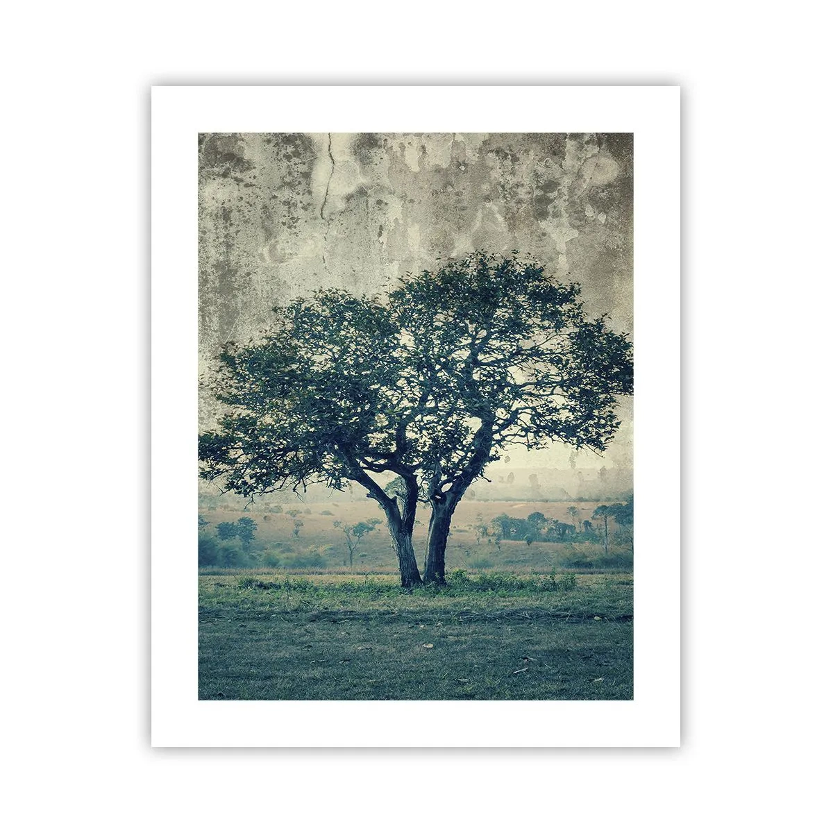 Póster - El manzano - 40x50 cm