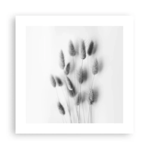 Póster - Esponjas naturales - 40x40 cm