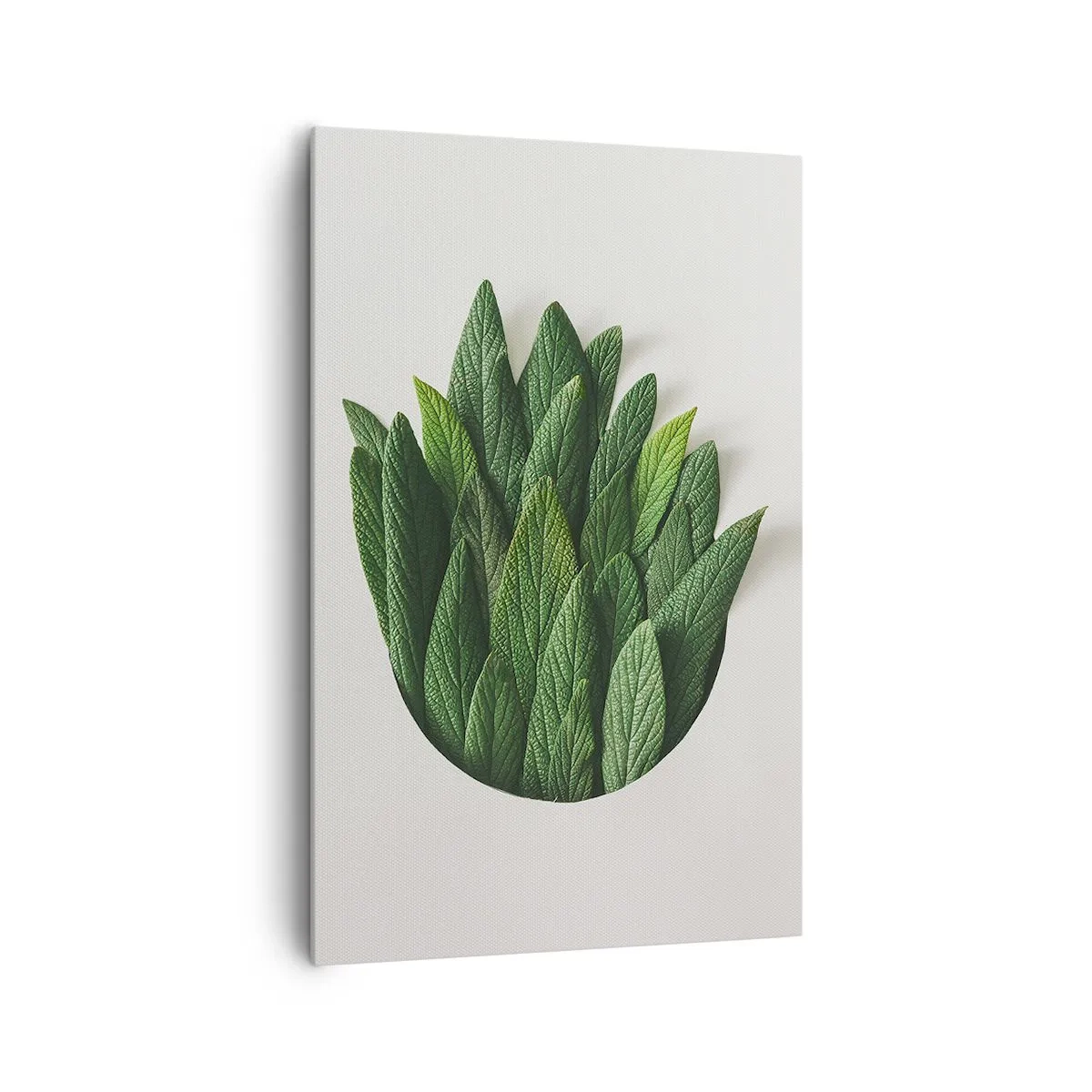 Cuadro sobre lienzo - Impresión de Imagen - Una composición de hojas verdes sobre un fondo claro. - 80x120cm - Curiosidad desenfrenada - Decoración de pared moderna para salón y dormitorio ARTTOR