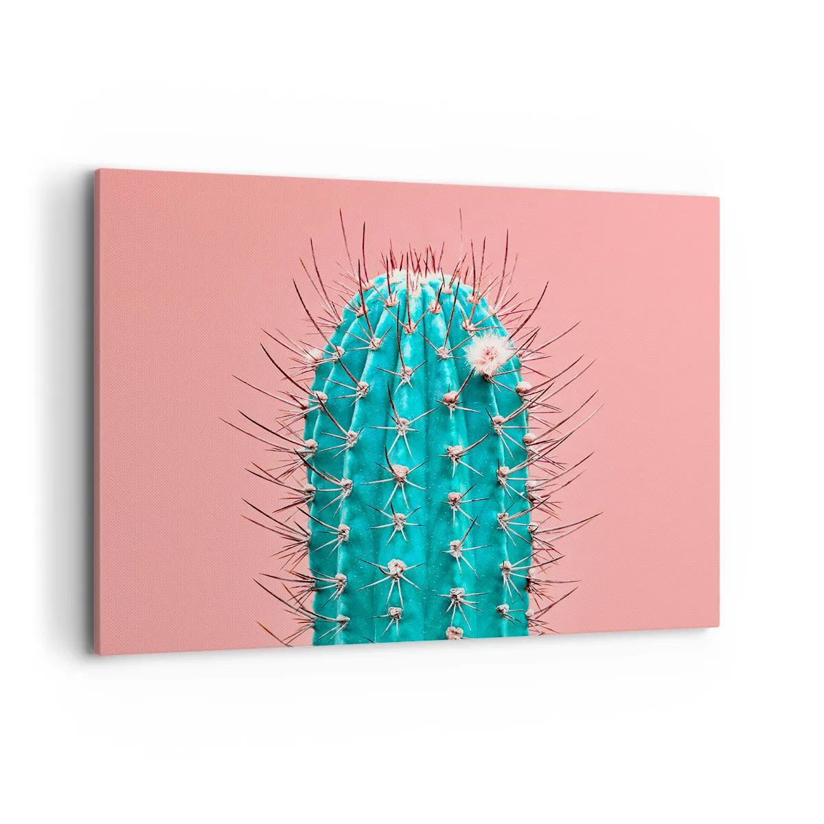 Cuadro sobre lienzo - Impresión de Imagen - Una versión artística de un cactus sobre un fondo rosa. - 100x70cm - Se mira, pero no se toca - Decoración de pared moderna para salón y dormitorio ARTTOR