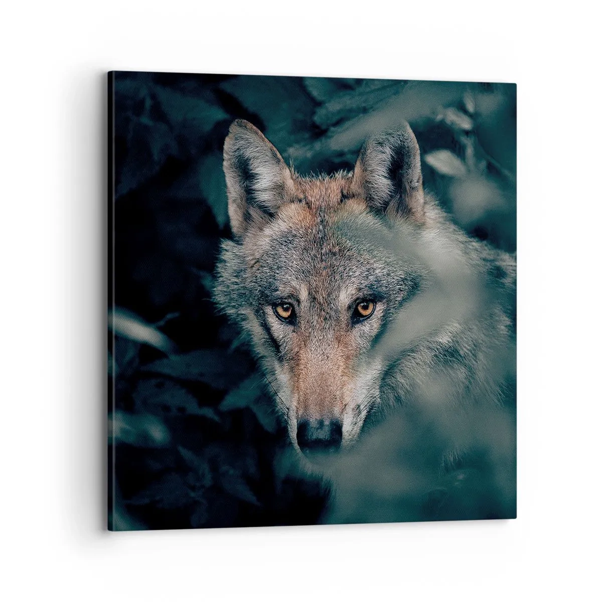 Cuadro sobre lienzo - Impresión de Imagen - Cazador - 70x70 cm