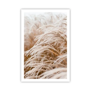 Póster - El sol de otoño - 61x91 cm