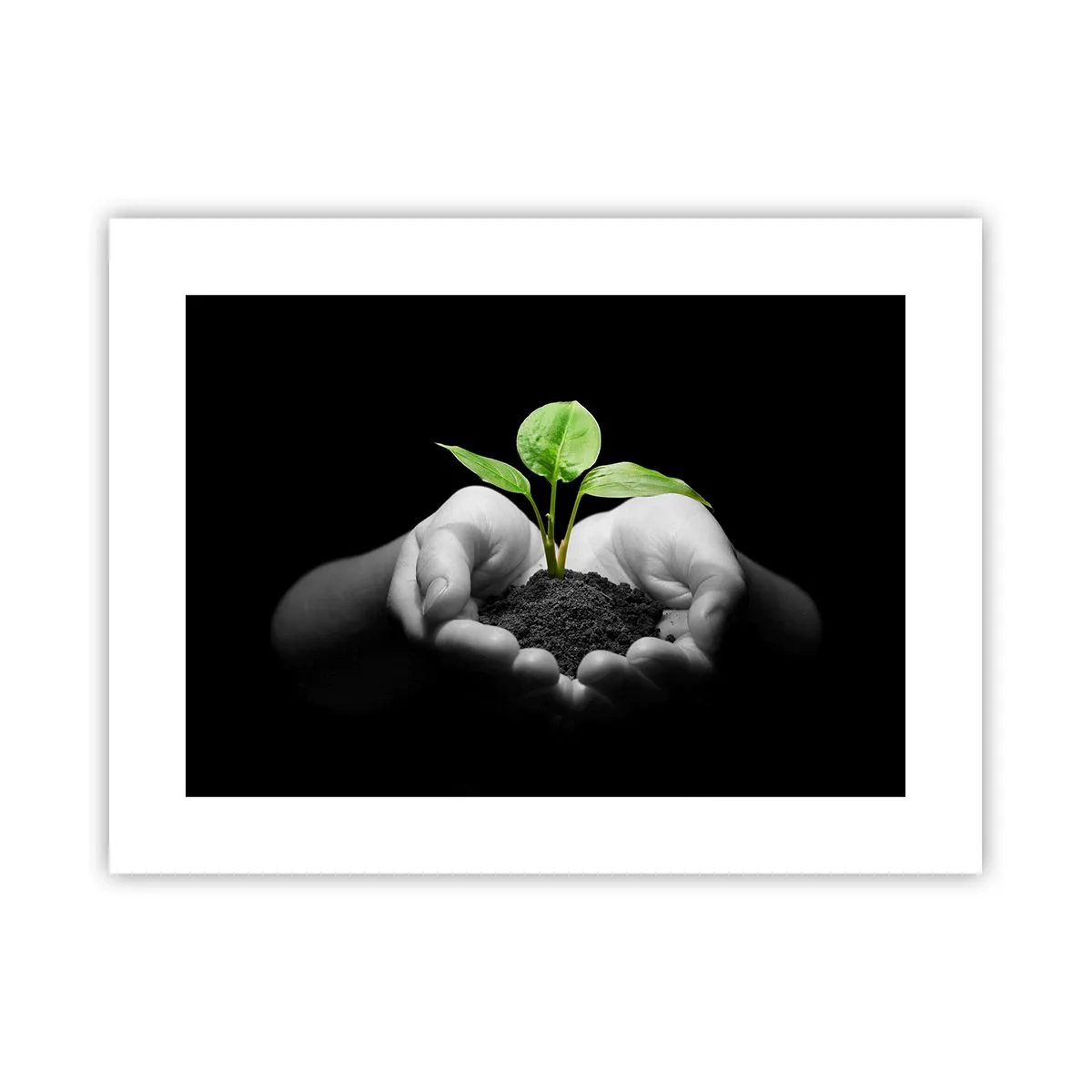 Póster - Amo la naturaleza, la protejo - 40x30 cm