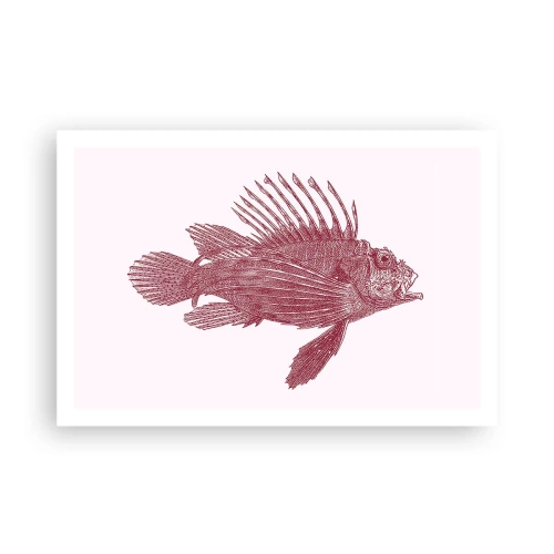 Póster - Un habitante de aguas exóticas - 91x61 cm