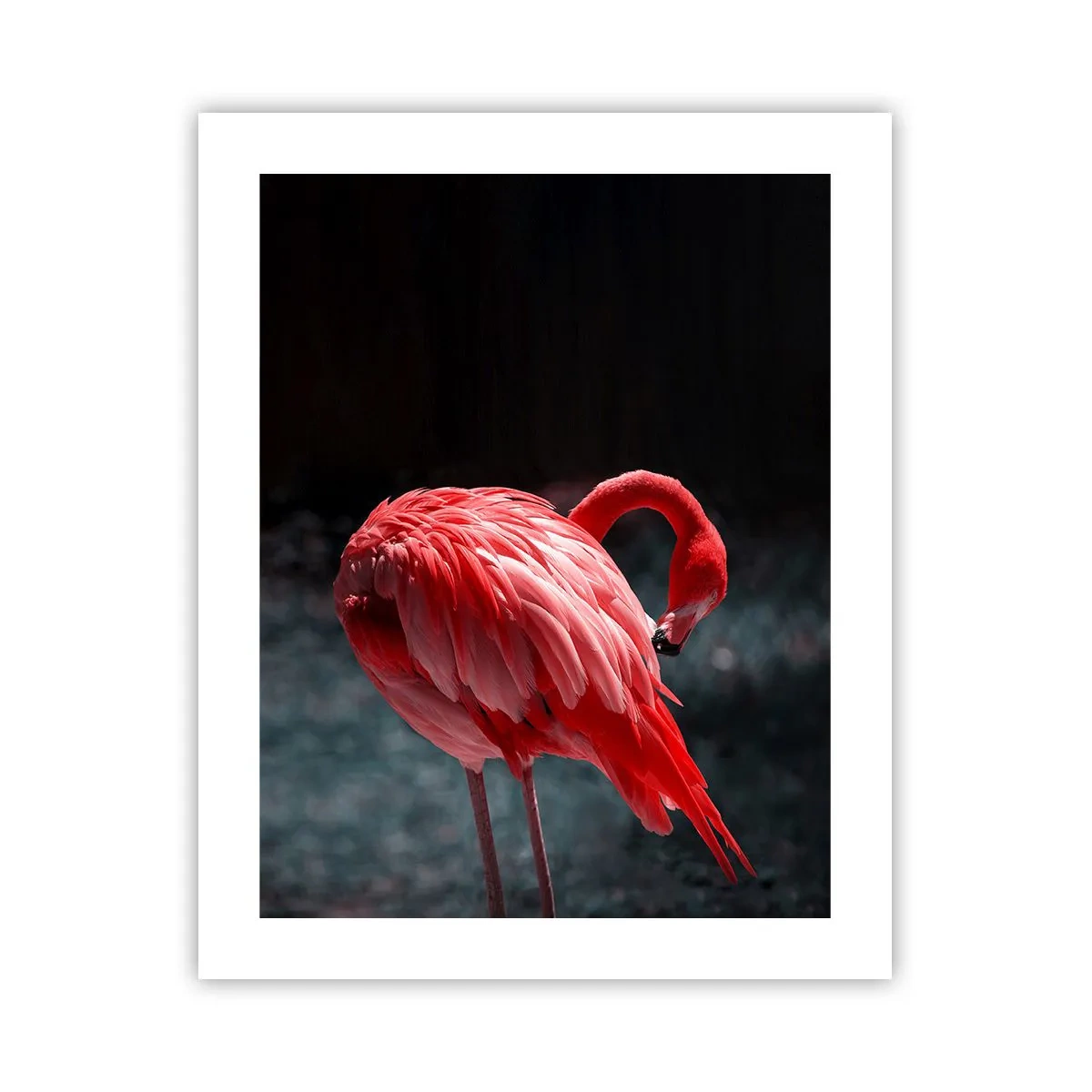 Póster - Un poema carmesí de la naturaleza - 40x50 cm