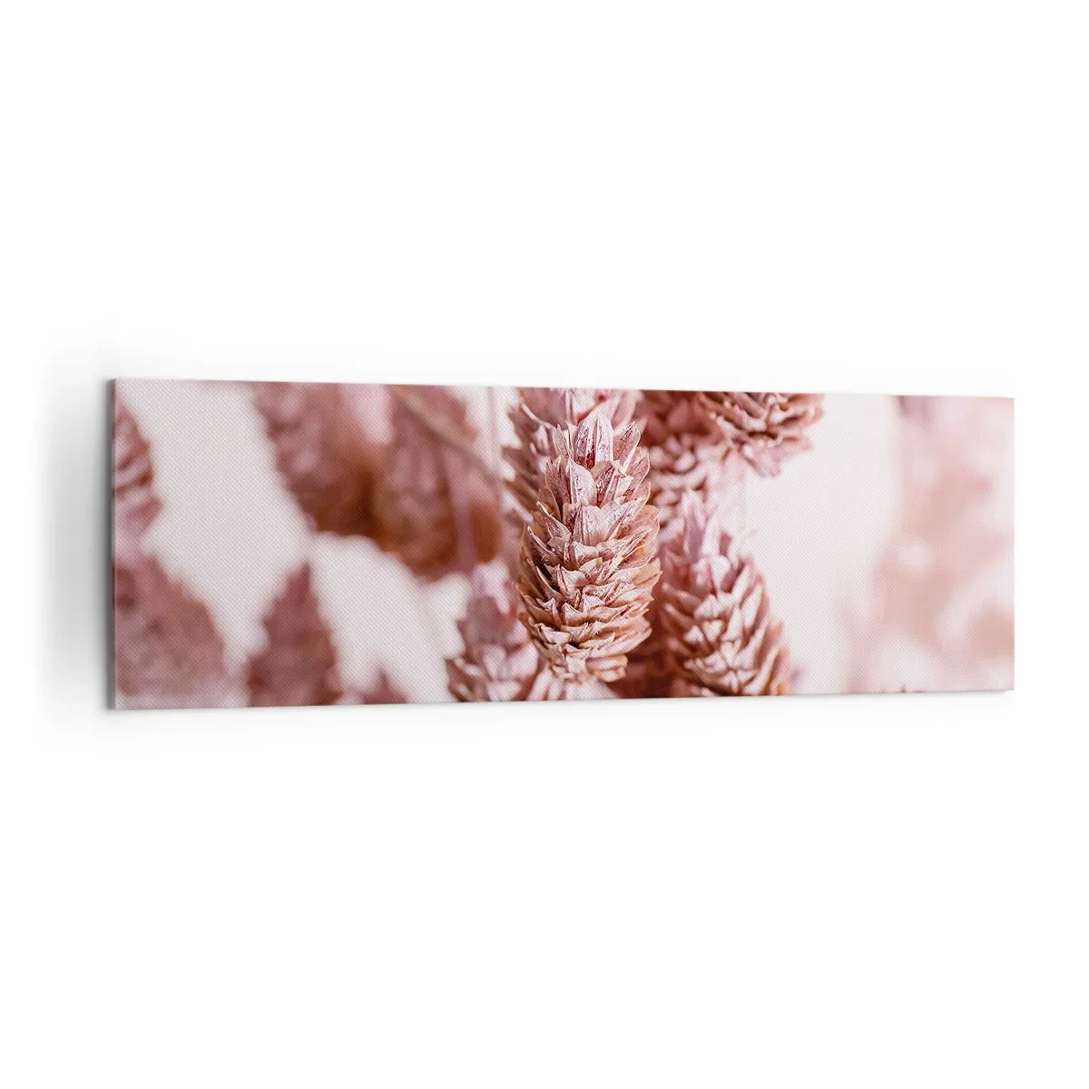 Cuadro sobre lienzo - Impresión de Imagen - Un primer plano de las delicadas espigas rosadas de las hierbas ornamentales. - 160x50cm - Aparentemente discreto - Decoración de pared moderna para salón y dormitorio ARTTOR