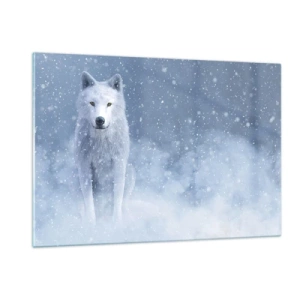 Cuadro sobre vidrio - Impresiones sobre Vidrio - Un lobo blanco en una tormenta de nieve mirando hacia adelante. - 120x80cm - El espíritu del invierno - Decoración de pared moderna para salón y dormitorio ARTTOR