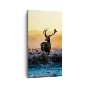 Cuadro sobre lienzo - Impresión de Imagen - Coronado en sus propios dominios - 45x80 cm