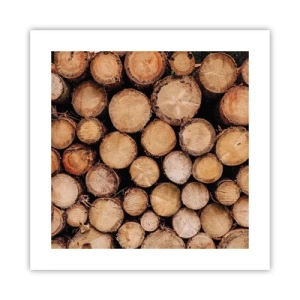 Póster - Un nuevo comienzo - 40x40 cm