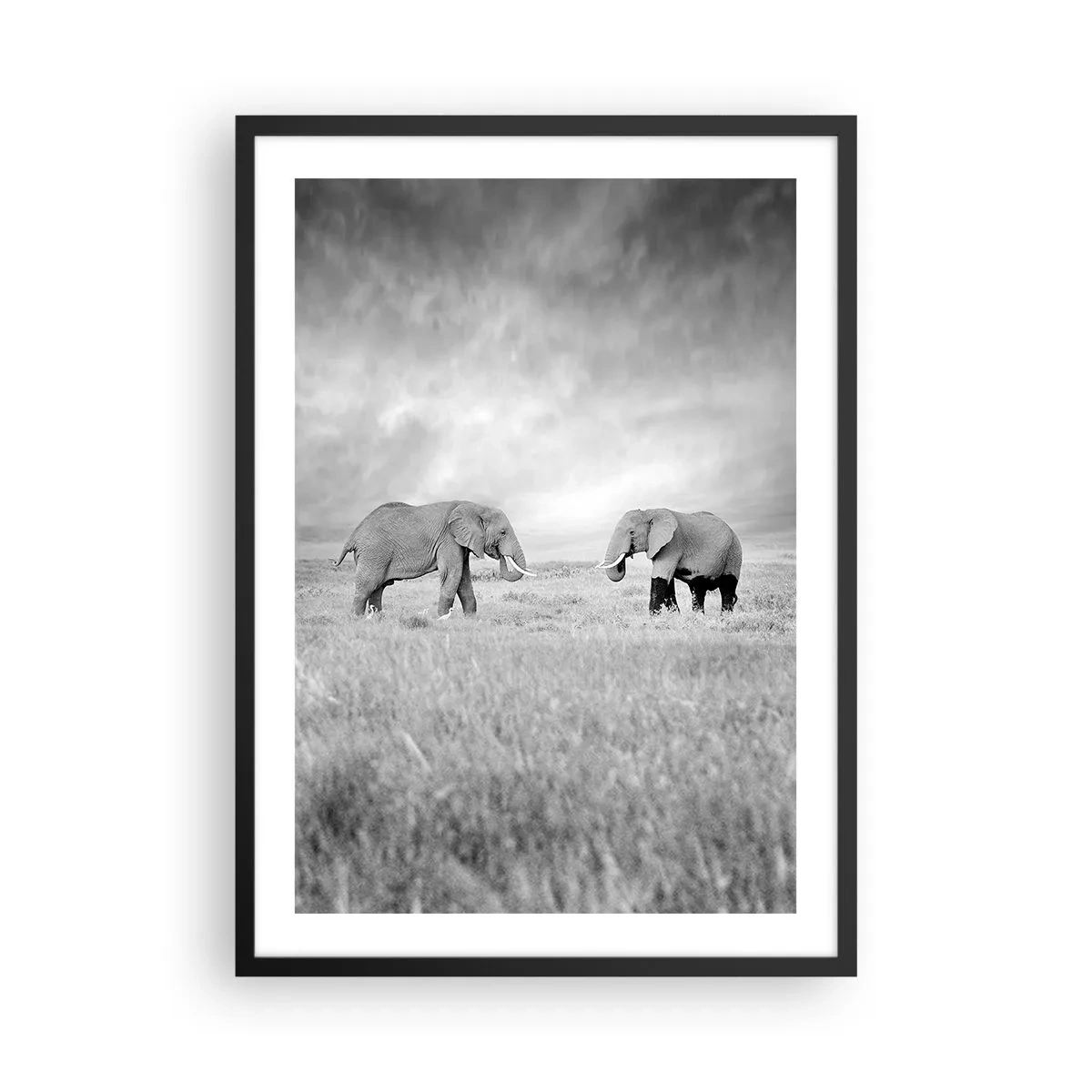 Póster en marco negro - Elefantes blancos y negros en la sabana - 50x70cm - El gris es hermoso - Decoración de pared moderna para salón y dormitorio ARTTOR