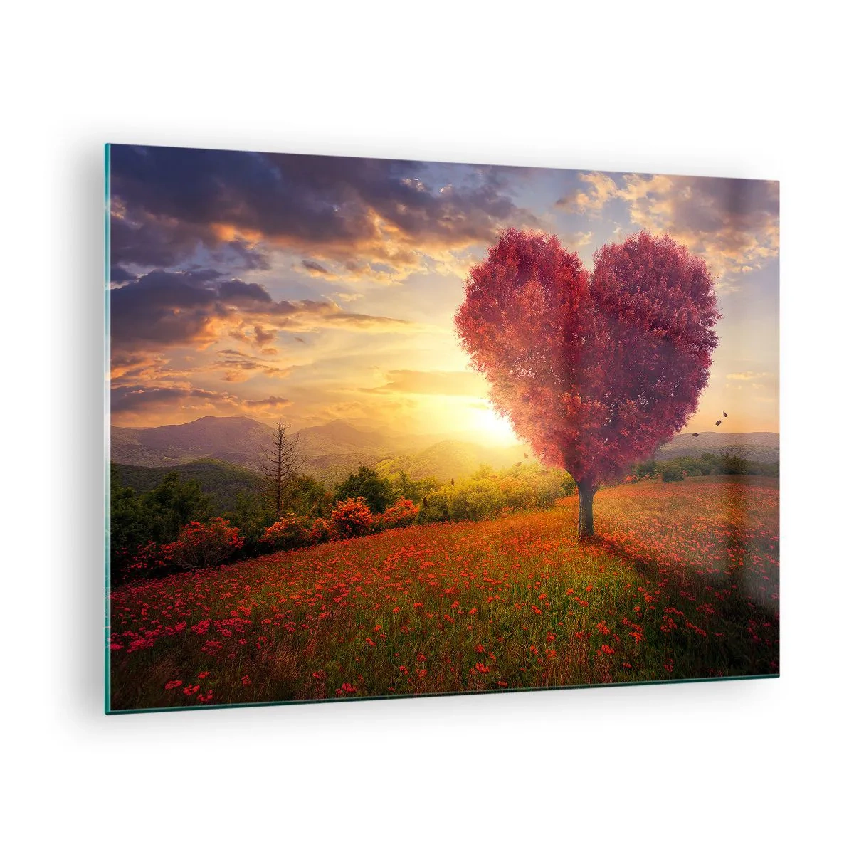Cuadro sobre vidrio - Impresiones sobre Vidrio - Un árbol en forma de corazón en un campo al atardecer. - 70x50cm - Te atrapa el corazón - Decoración de pared moderna para salón y dormitorio ARTTOR