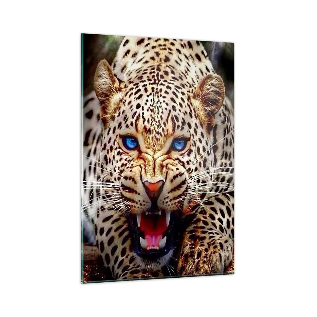 Cuadro sobre vidrio - Impresiones sobre Vidrio - Un leopardo amenazante con intensos ojos azules. - 80x120cm - La ira no daña la belleza - Decoración de pared moderna para salón y dormitorio ARTTOR