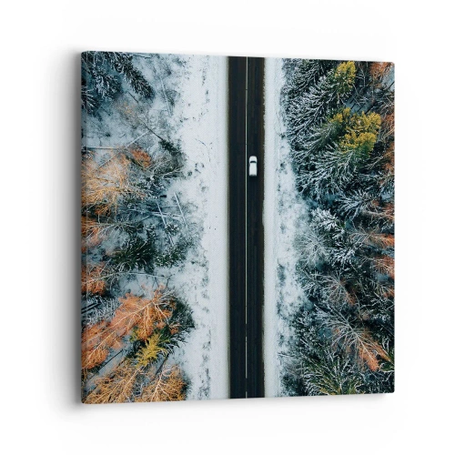 Cuadro sobre lienzo - Impresión de Imagen - Atravesar el bosque en invierno - 40x40 cm