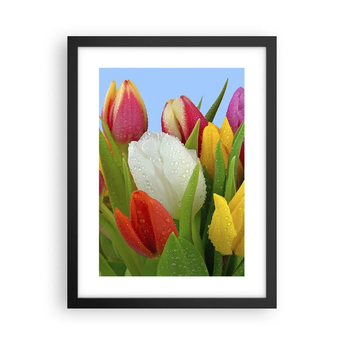 Póster en marco negro - Arco iris floral en gotas de rocío - 30x40 cm