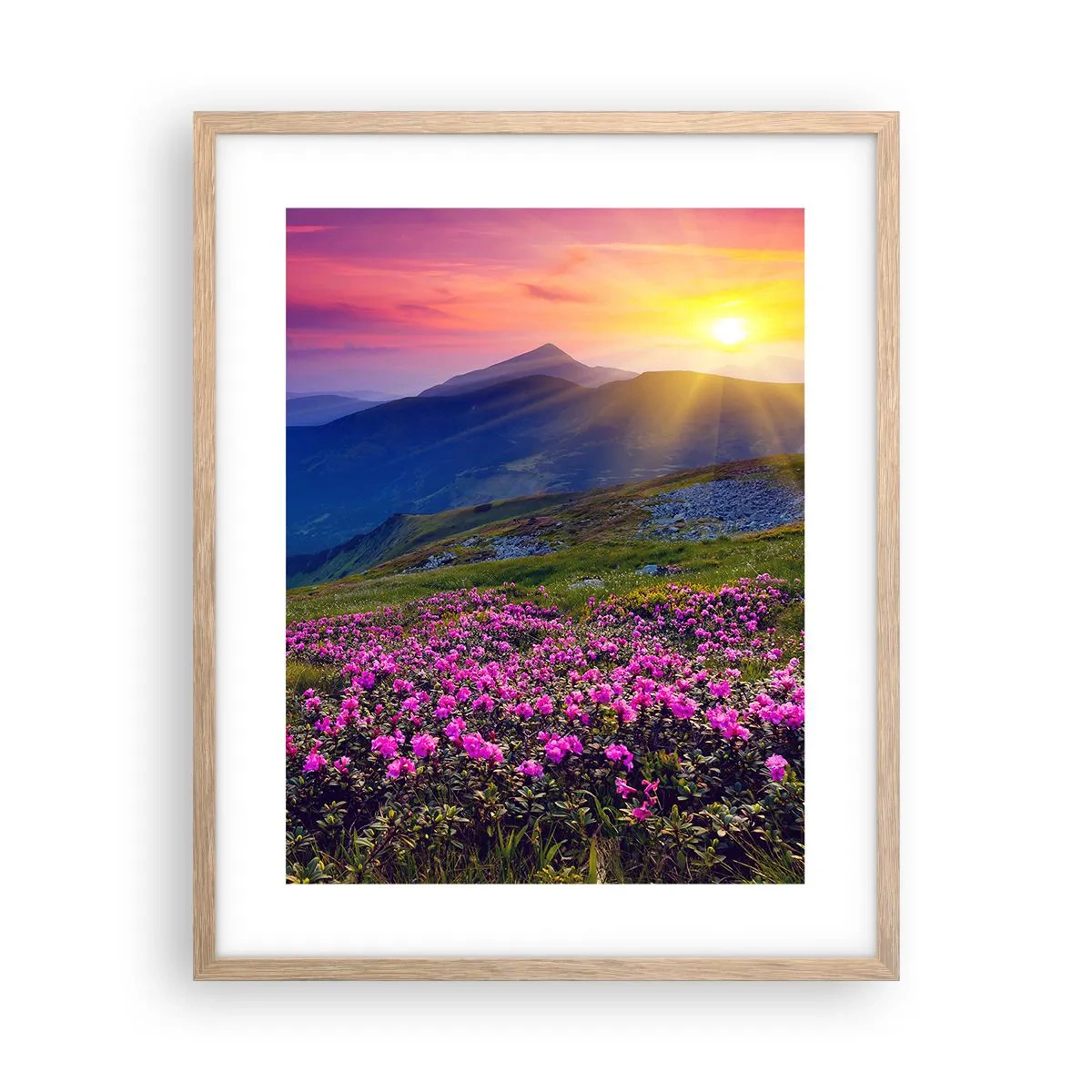 Póster en marco roble claro - ... Y el aroma a hierbas está por todas partes - 40x50 cm