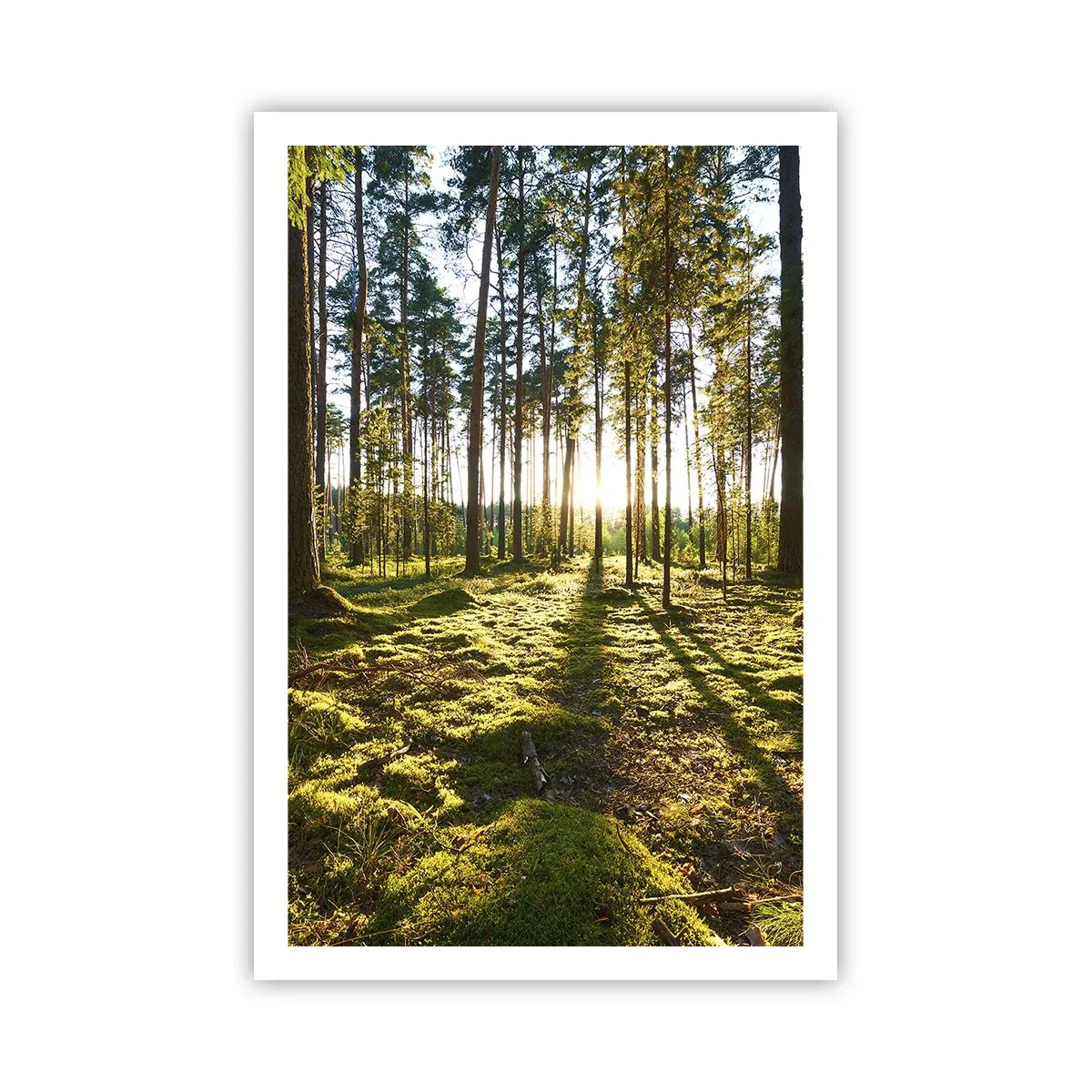 Póster - ...Más allá de los siete bosques - 61x91 cm