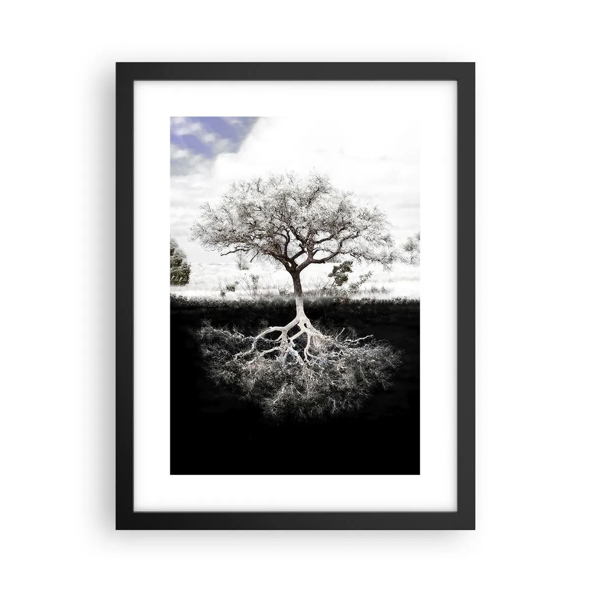 Póster en marco negro - Descubrir la naturaleza del mundo - 30x40 cm