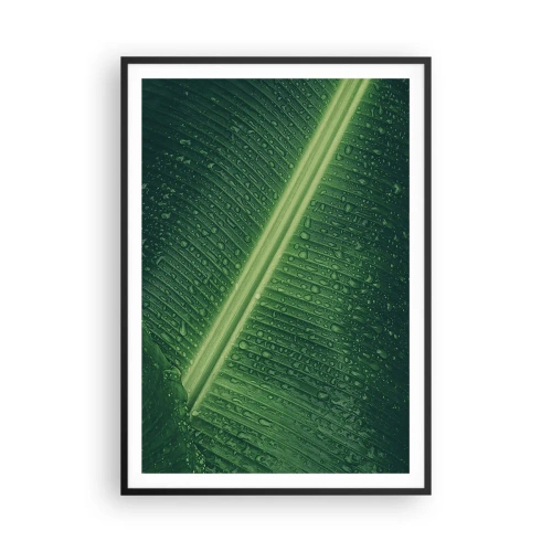Póster en marco negro - Estructura del verde - 70x100 cm