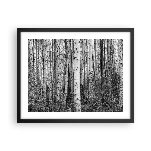 Póster en marco negro - Columnas de abedules - 50x40 cm