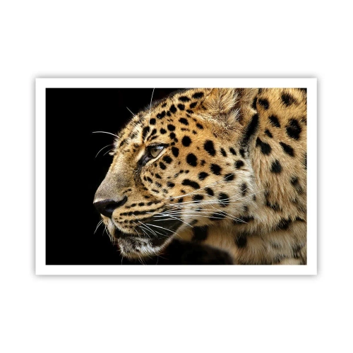Póster - Primer plano de la cabeza de un leopardo sobre un fondo negro - 100x70cm - Tranquilo, concentrado, preparado - Decoración de pared moderna para salón y dormitorio ARTTOR