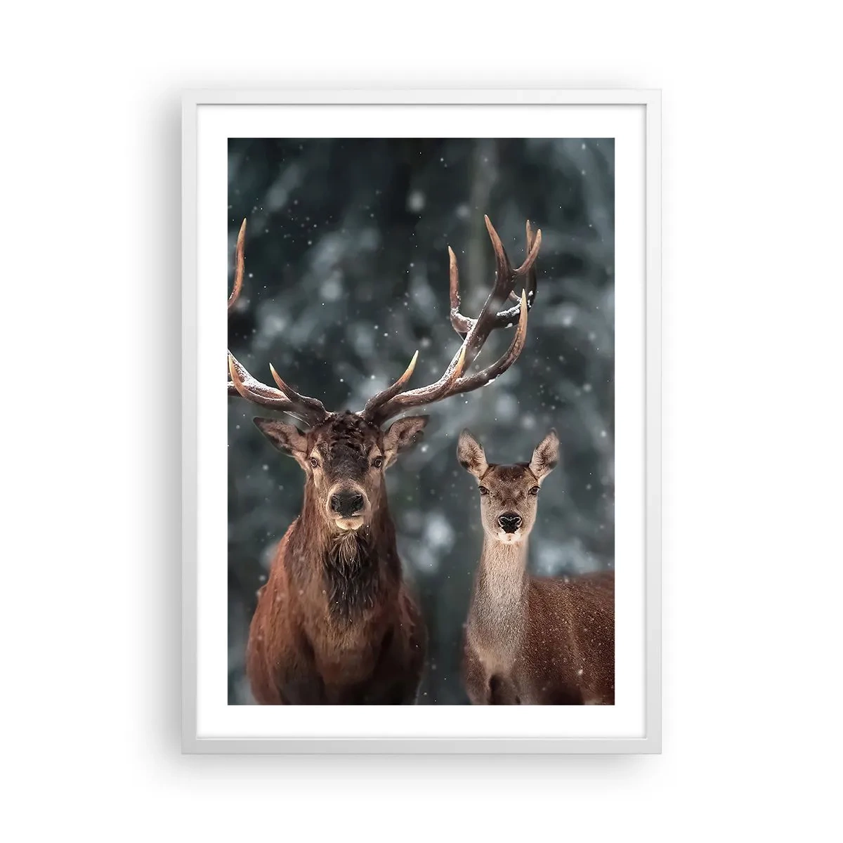 Póster en marco blanco - El señor y la señora del bosque - 50x70 cm