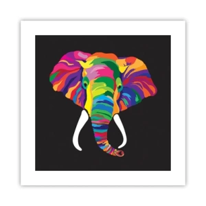 Póster - El elefante al que le gustaba bañarse en el arco iris - 40x40 cm