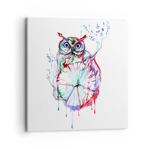 Cuadro sobre lienzo - Impresión de Imagen - Sabio por naturaleza - 70x70 cm