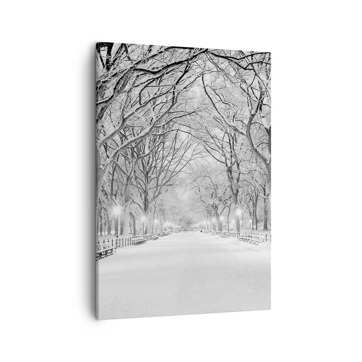 Cuadro sobre lienzo - Impresión de Imagen - Un callejón invernal con árboles cubiertos de nieve en monocromo. - 50x70cm - Cuatro estaciones - invierno - Decoración de pared moderna para salón y dormitorio ARTTOR