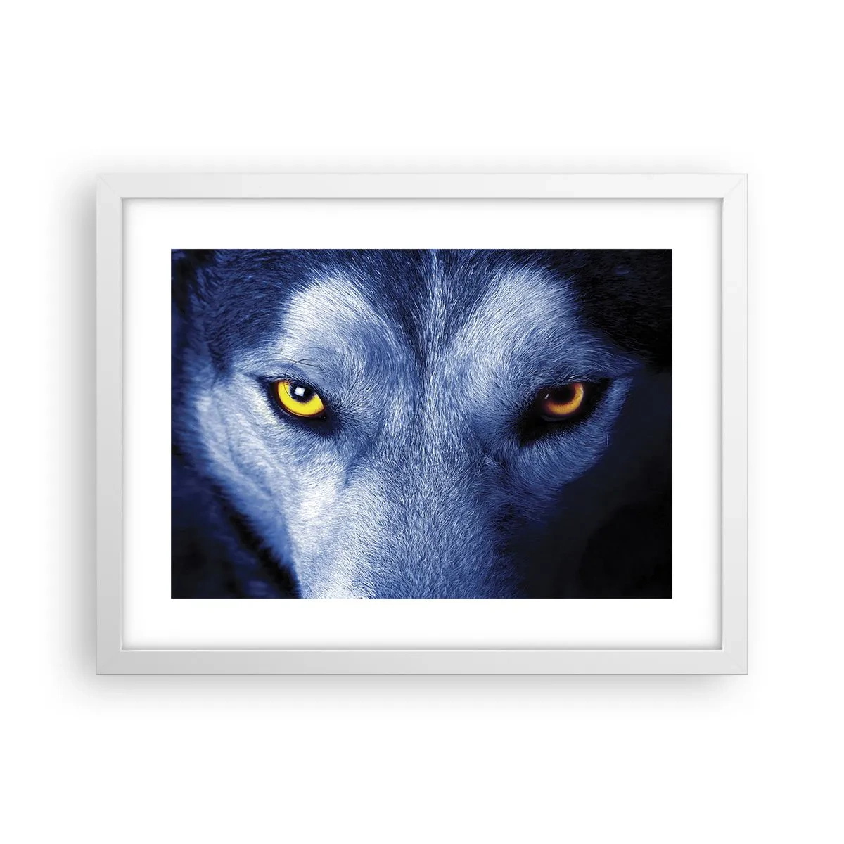 Póster en marco blanco - La mirada hipnótica - 40x30 cm