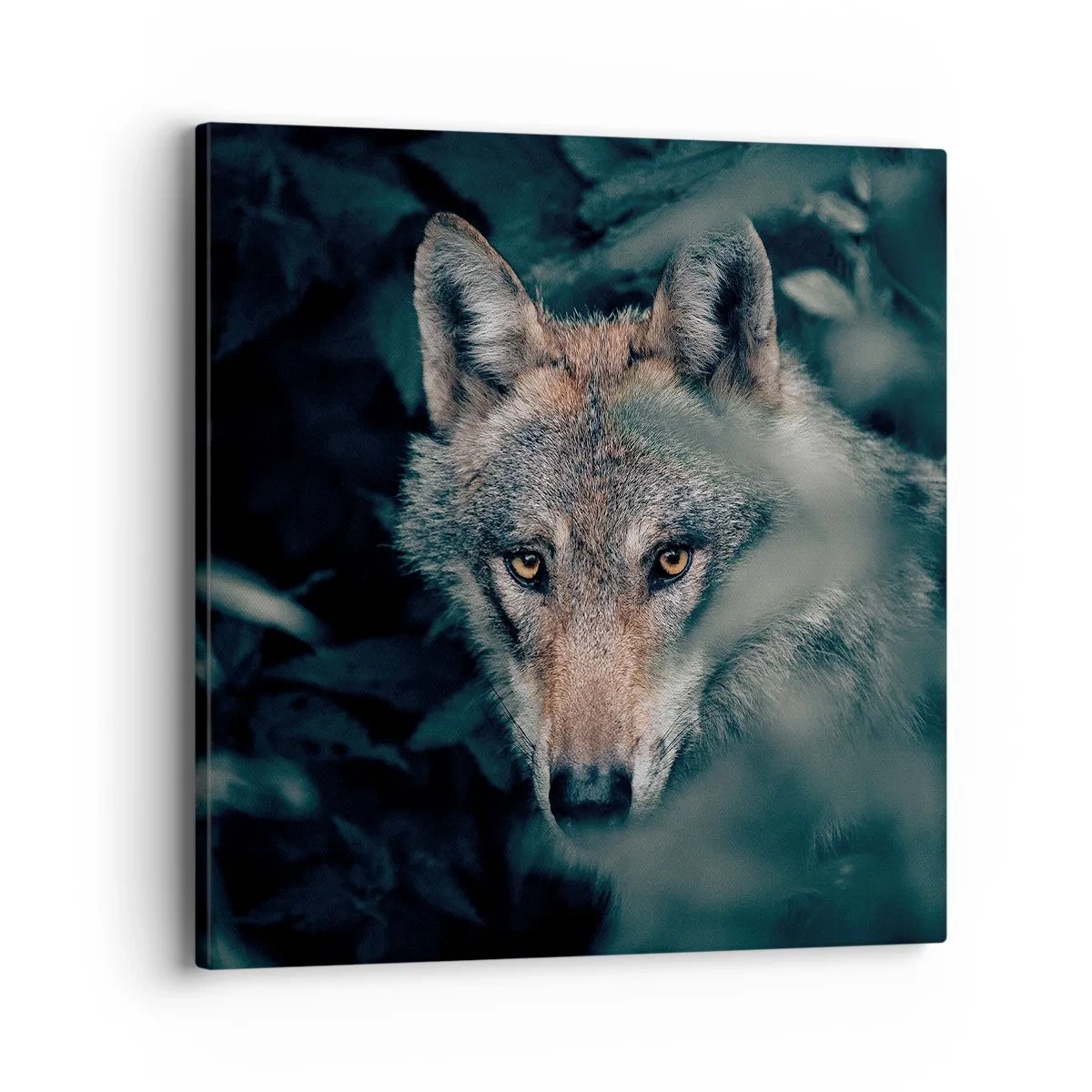 Cuadro sobre lienzo - Impresión de Imagen - Cazador - 40x40 cm