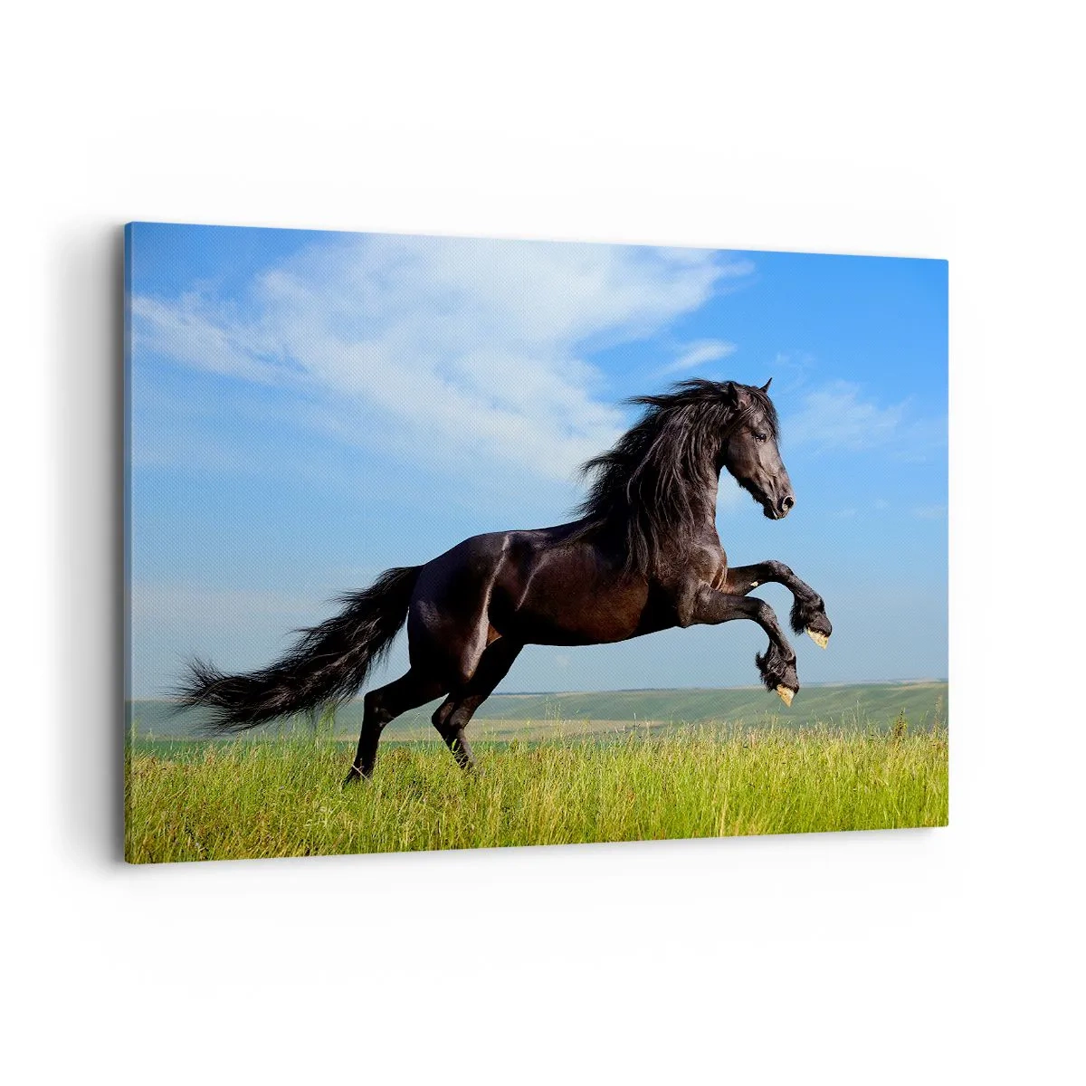 Cuadro sobre lienzo - Impresión de Imagen - Un caballo negro corriendo contra un cielo azul y un prado verde. - 120x80cm - Emocionante manifiesto de libertad - Decoración de pared moderna para salón y dormitorio ARTTOR