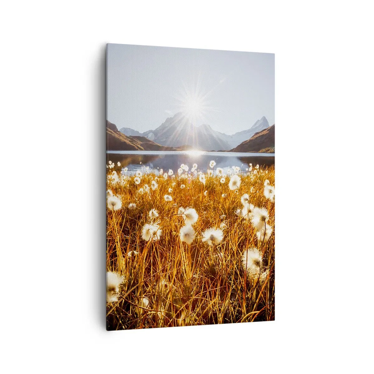 Cuadro sobre lienzo - Impresión de Imagen - Dureza de las rocas, suavidad de la hierba - 80x120 cm