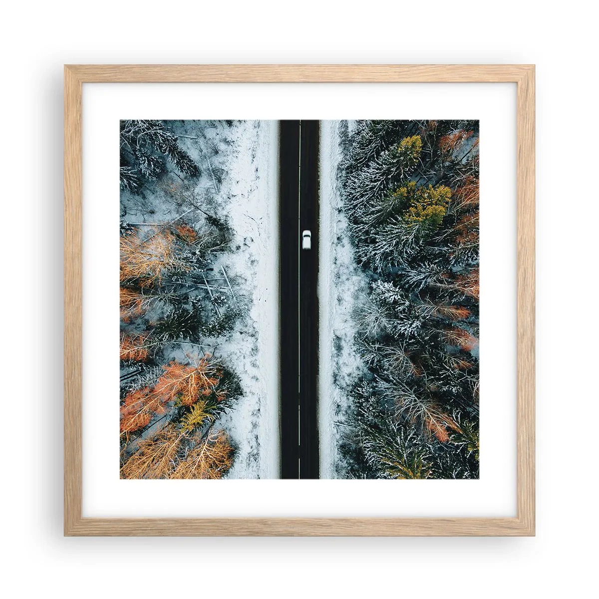 Póster en marco roble claro - Atravesar el bosque en invierno - 40x40 cm
