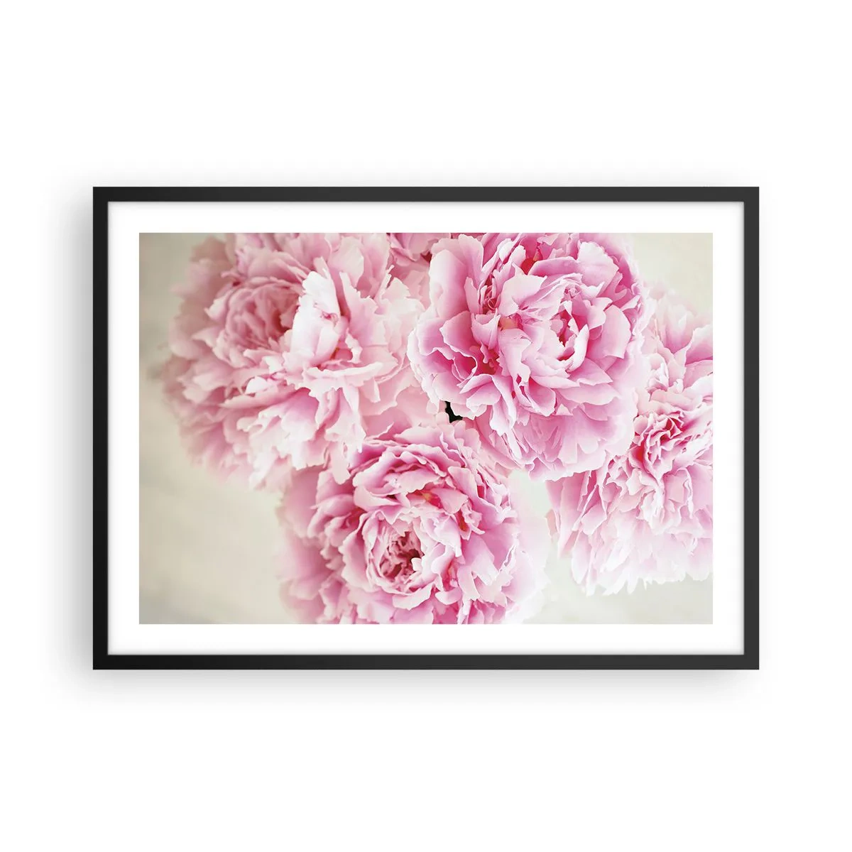 Póster en marco negro - Un ramo de peonías rosas sobre un fondo claro. - 70x50cm - En el esplendor del rosa - Decoración de pared moderna para salón y dormitorio ARTTOR