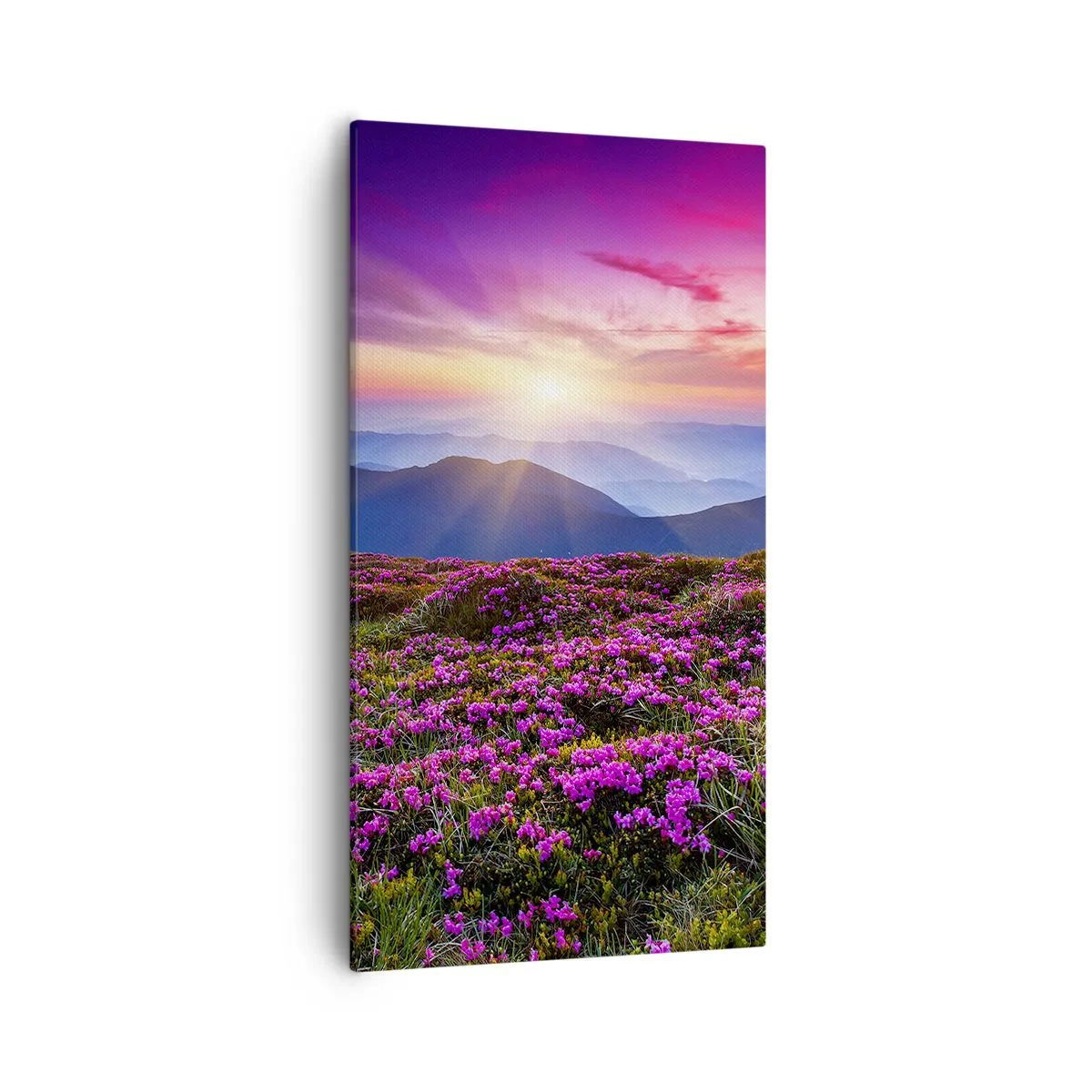 Cuadro sobre lienzo - Impresión de Imagen - Dulce aroma a frescura - 55x100 cm