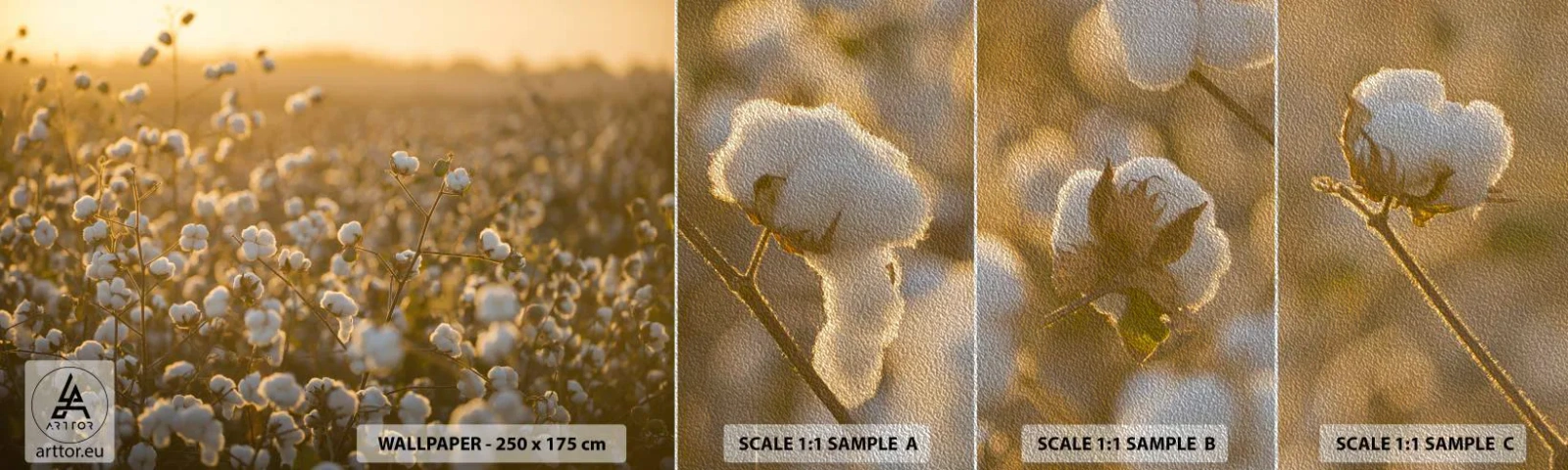 Muestra de fotomural Premium Sand - Un campo esponjoso - Campo de algodón, Asia, Naturaleza - 100x30 cm