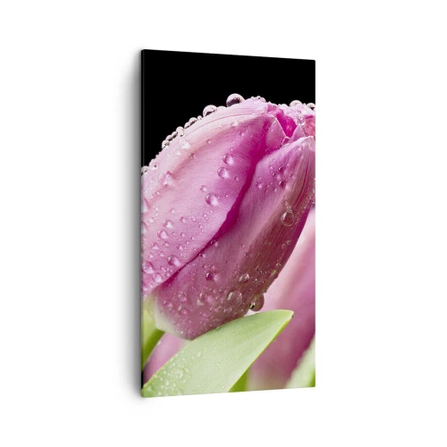 Cuadro sobre lienzo - Impresión de Imagen - Un sueño de lilas en el rocío - 45x80 cm