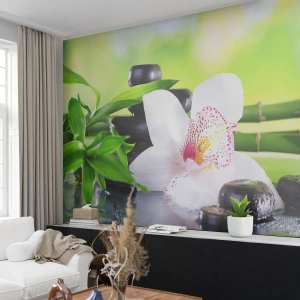 Fotomural Premium Sand - Frescura - Bambú, Flor, Orquídea - 400x280 cm